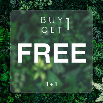 Buy 1 Get 1 Free