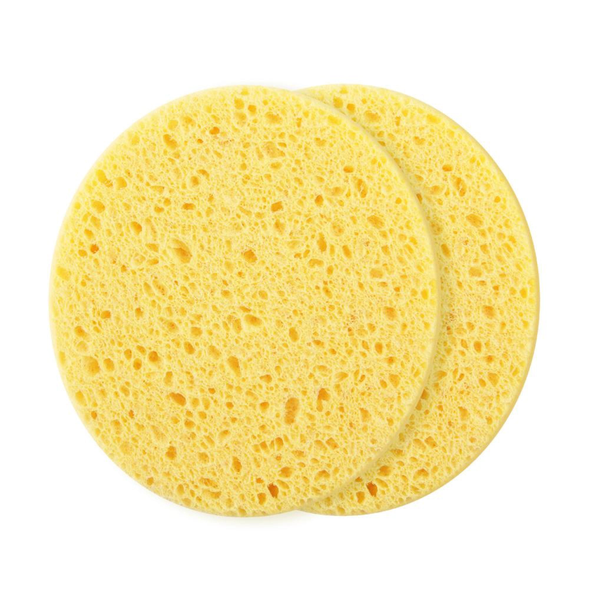 Cleansing Sponge