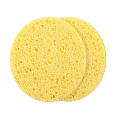 Cleansing Sponge
